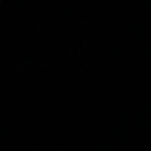 Meet your Posher, Joel